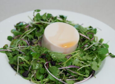 Tofu & sprout bibimbap