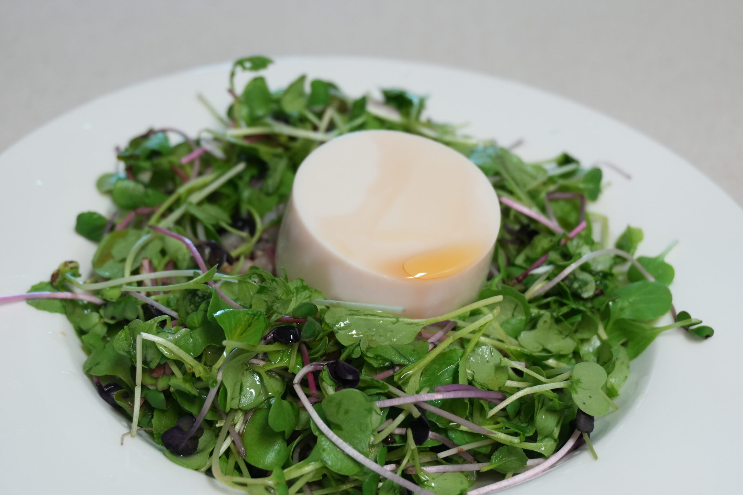 Tofu & sprout bibimbap