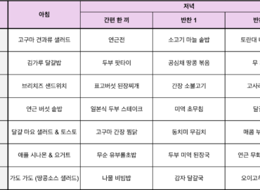 mealplan_260903