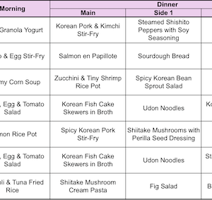mealplan-E261004